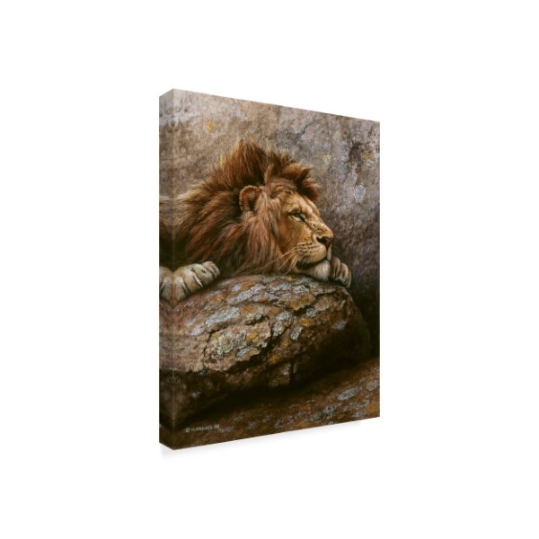 Harro Maass 'Lion Male 2' Canvas Art,18x24